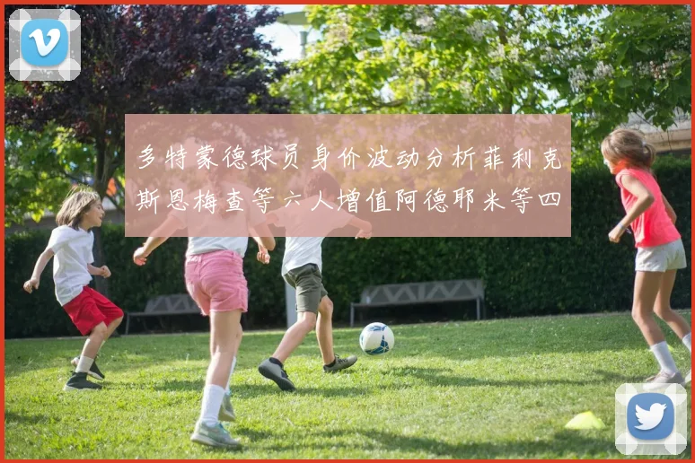 多特蒙德球员身价波动分析菲利克斯恩梅查等六人增值阿德耶米等四人贬值